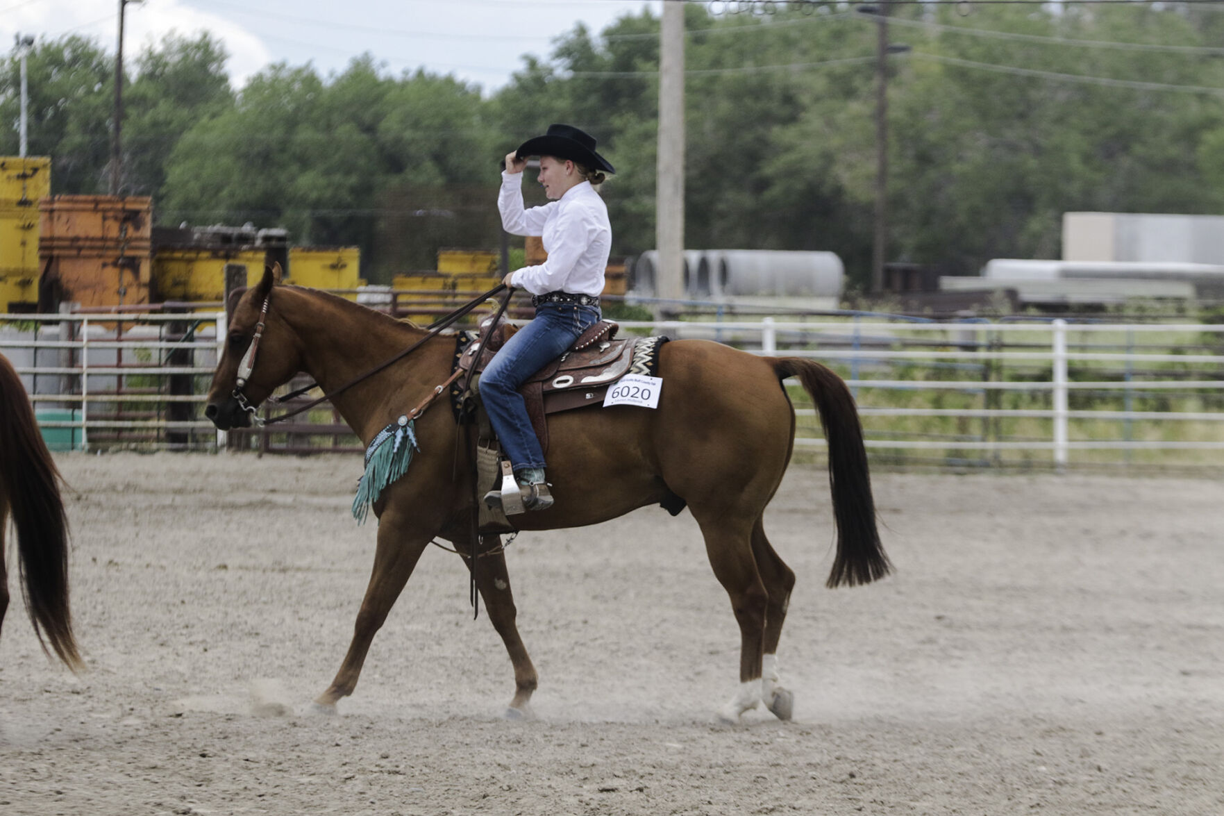 PHOTOS: 4-H Horse Show 2020